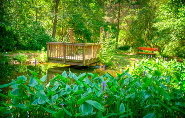 The University of Alabama Arboretum, United States